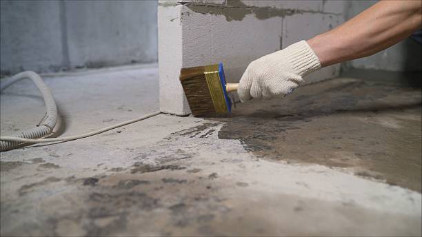 24/7 Emergency Crawl Space Encapsulation experts in Trenton, IL